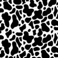 Black and white cow print pattern with irregular black spots on a white background.
